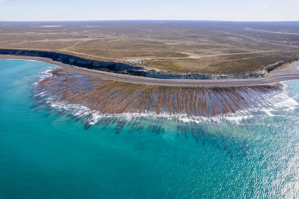 Formación geográfica de Caleta Valdés en Península Valdés