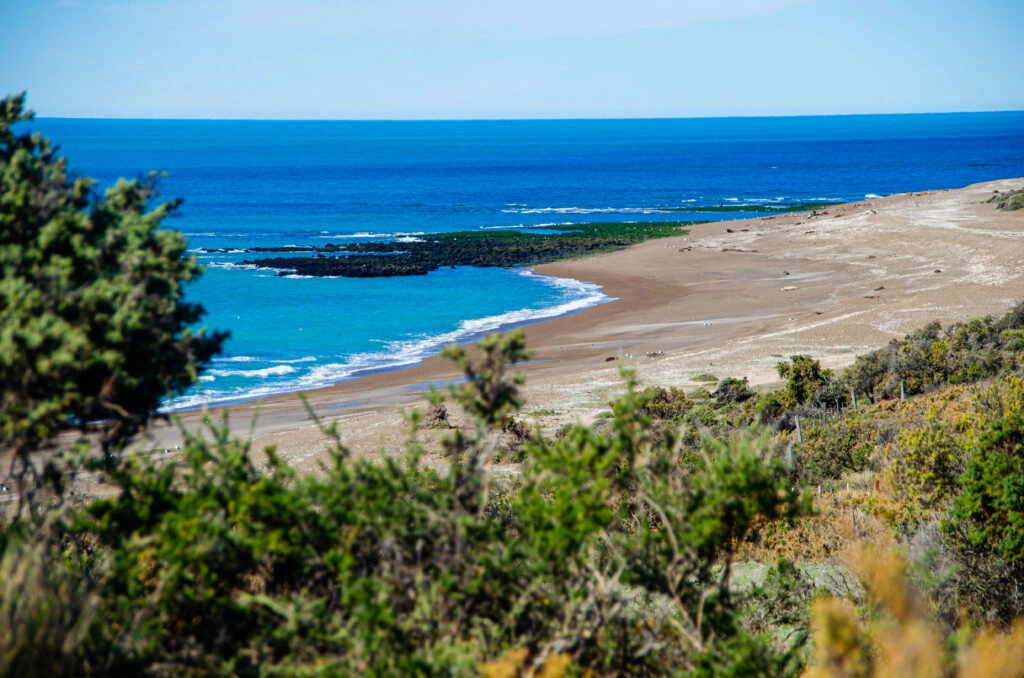 Colonia de lobos marinos en Punta Norte, Península Valdés